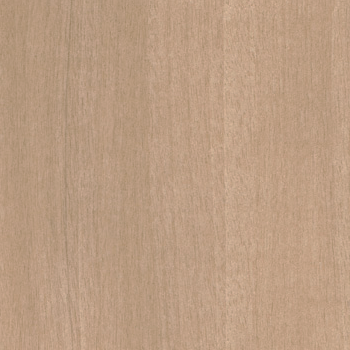 BORDO TANGANICA LEGNO 0,5X200MM